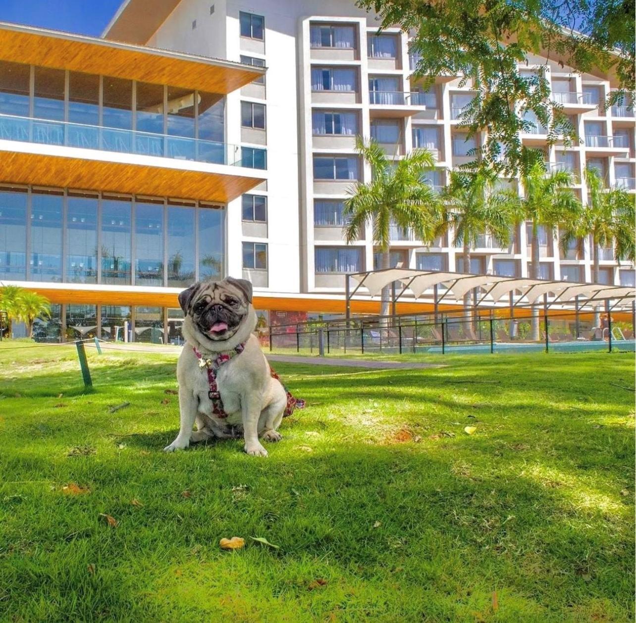 Novotel Itu Terras De Sao Jose Golf & Resort Eksteriør bilde